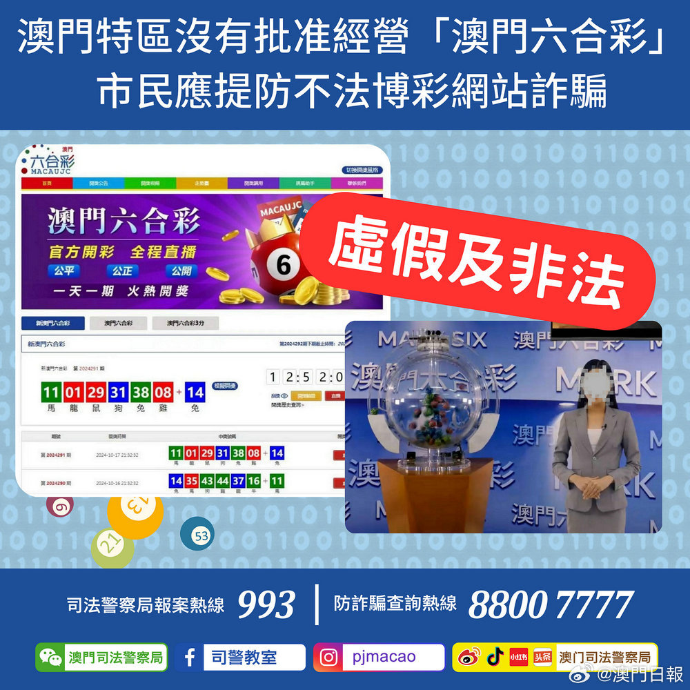 预测魅力与智慧探索