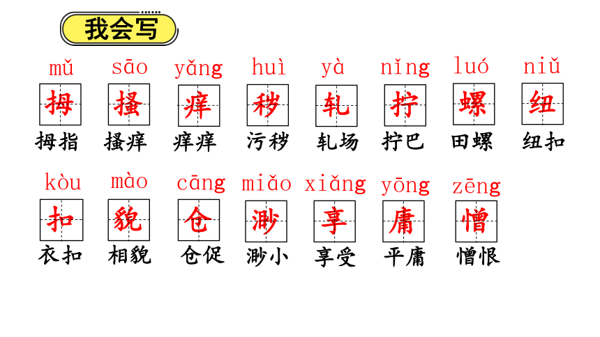 王中王53期指一生肖，探寻神秘背后的故事与寓意，探寻王中王生肖背后的神秘故事与寓意