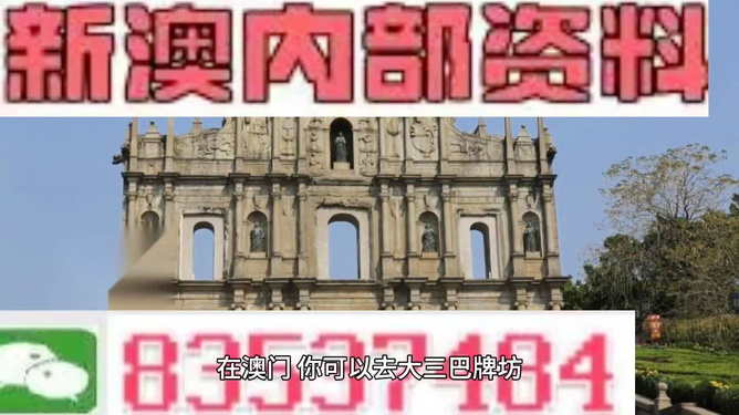 澳门内部免费资料，深度探索与理解，澳门内部免费资料深度解析与探索