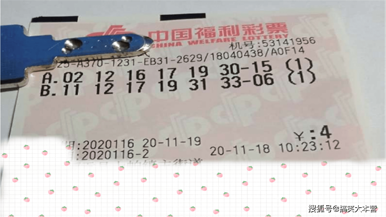 澳门六开奖结果第116期深度分析与观察，澳门六开奖结果第116期深度解读与观察报告