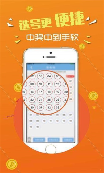 王中王心水一肖论坛，探索与启示，王中王心水一肖论坛，探索之路与启示