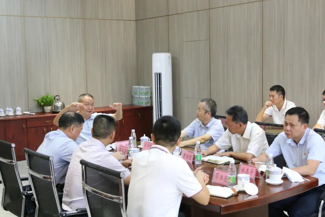 海南岛战役牺牲原因，英勇无畏与战略失误的双重解读，海南岛战役，英勇无畏与战略失误的双重解读下的牺牲原因探究