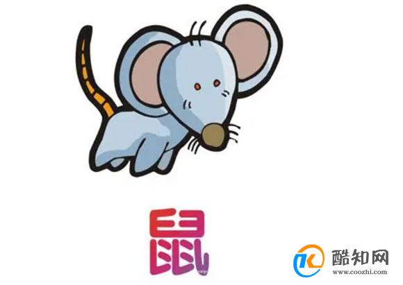 澳门老鼠报一肖一码