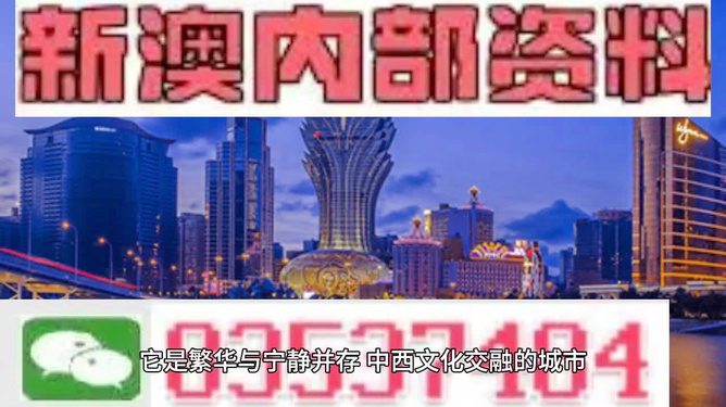 新澳天天开奖资料大全第262期详解，新澳天天开奖资料第262期详解概览