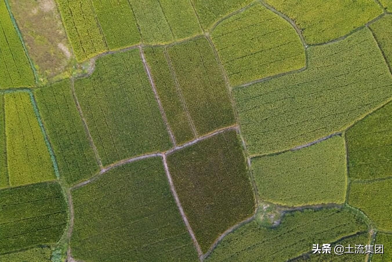 全球聚焦，2022年世界粮食危机最新消息，全球关注下的粮食危机，2022年世界粮食状况最新动态