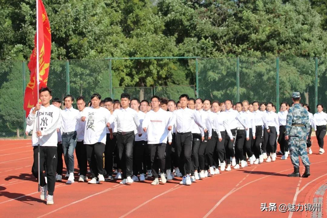 新兵三个月个人总结，新兵三个月成长之路，个人总结与展望