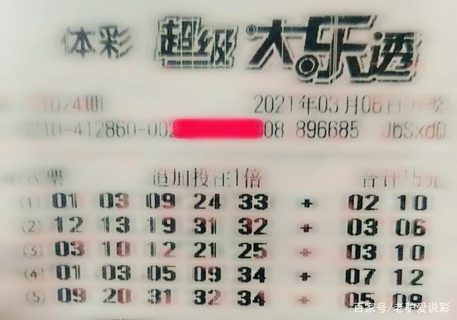 王中王024期指一生肖——探寻背后的文化密码与人生寓言，王中王024期生肖背后的文化密码与人生寓言探寻