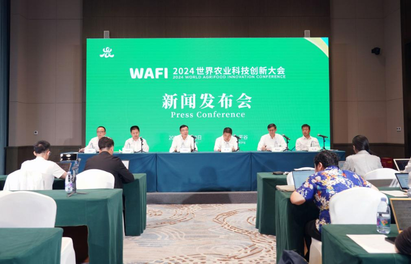 新闻发布会上的科技创新之光，科技创新之光闪耀新闻发布会
