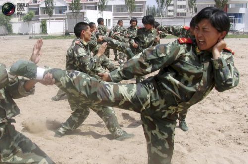 女生当兵的最佳兵种选择探讨，女生当兵的最佳兵种选择探讨与分析