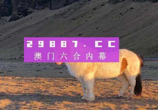 澳门六开彩49开奖结果，历史、文化与娱乐的交融，澳门六开彩49开奖结果，历史、文化与娱乐的完美交融