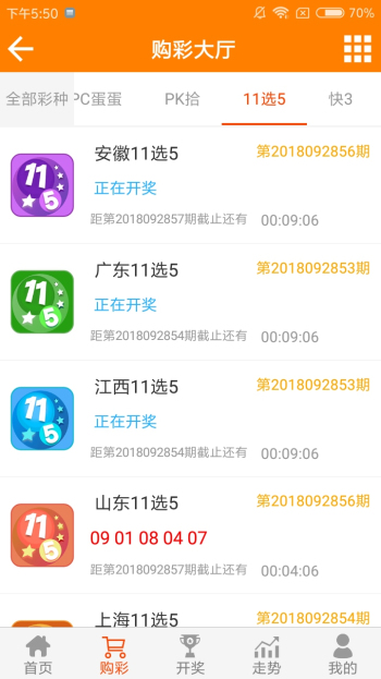 揭开王中王资料与一肖图的神秘面纱，王中王资料与一肖图揭秘，探寻神秘面纱下的真相