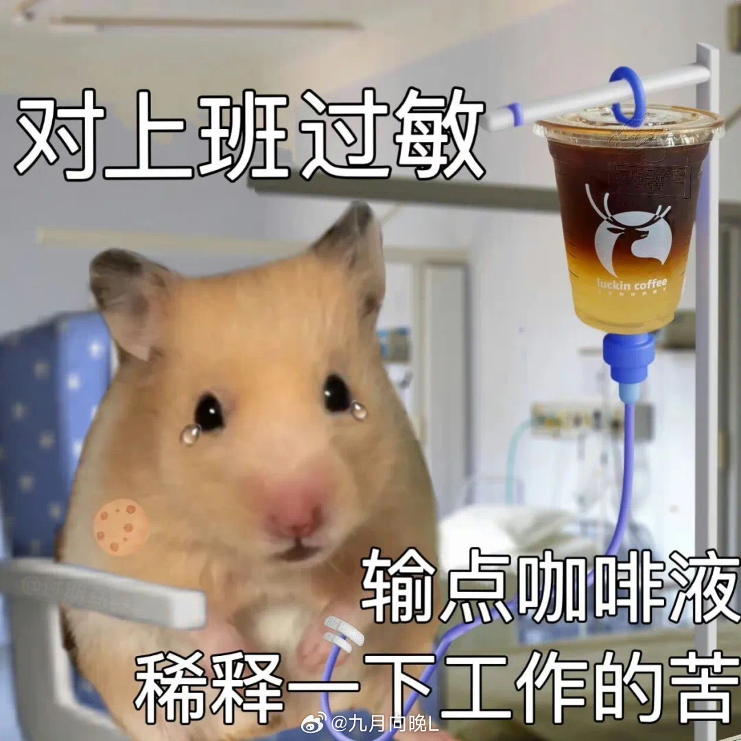 今天上班哪有不发疯的，职场日常，今日上班，情绪难免波动