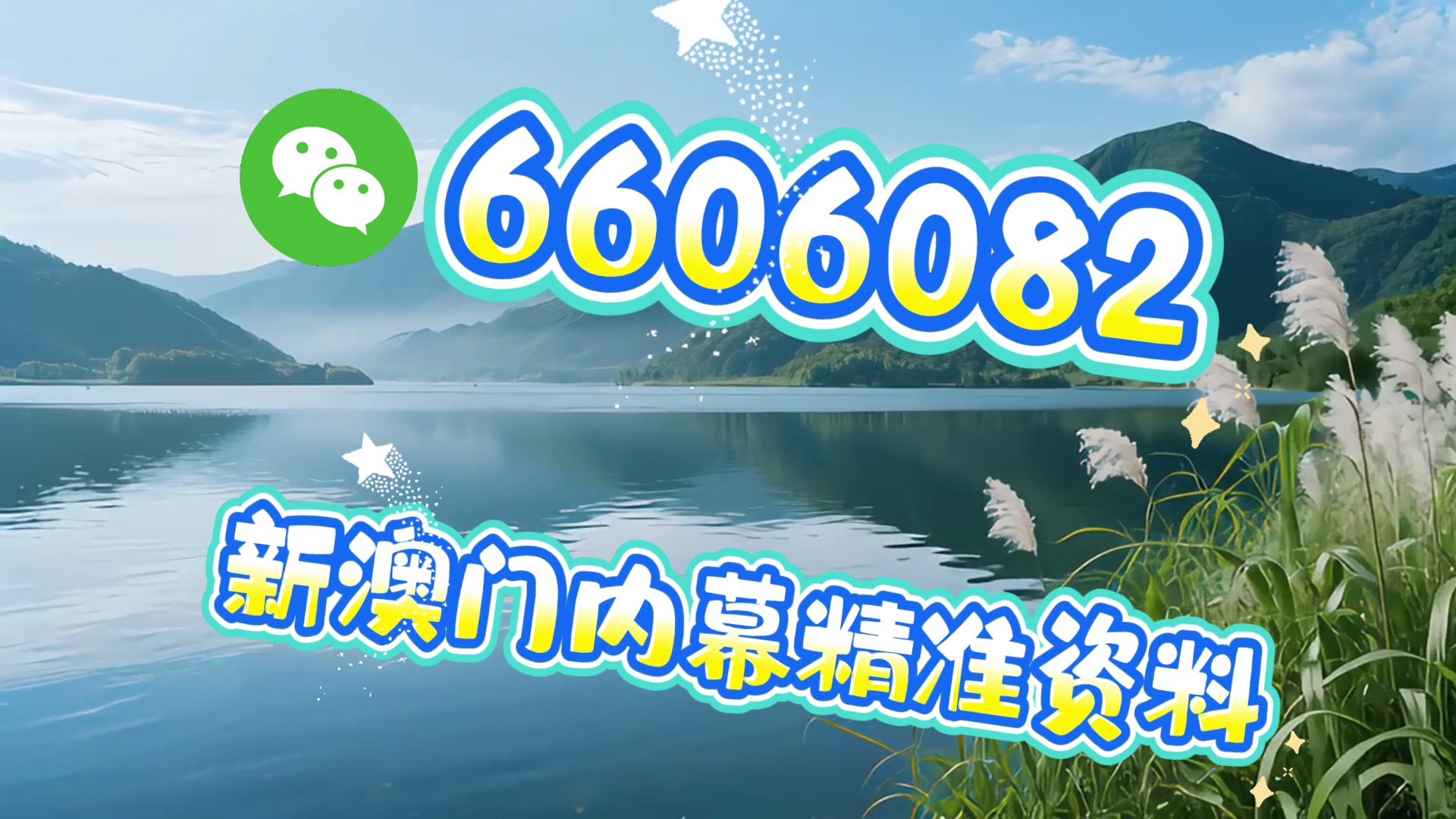 新澳门一肖一码中恃一句，探索与解读，澳门生肖码中的秘密，探索与解读