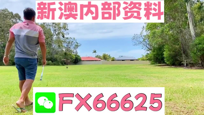 预测与成功交汇探索