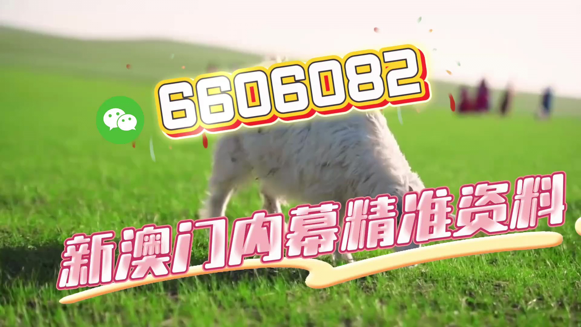 澳门精准四肖期期中特
