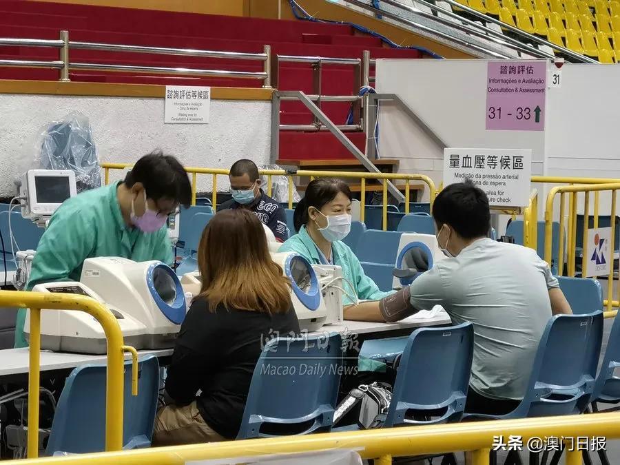 预测报告