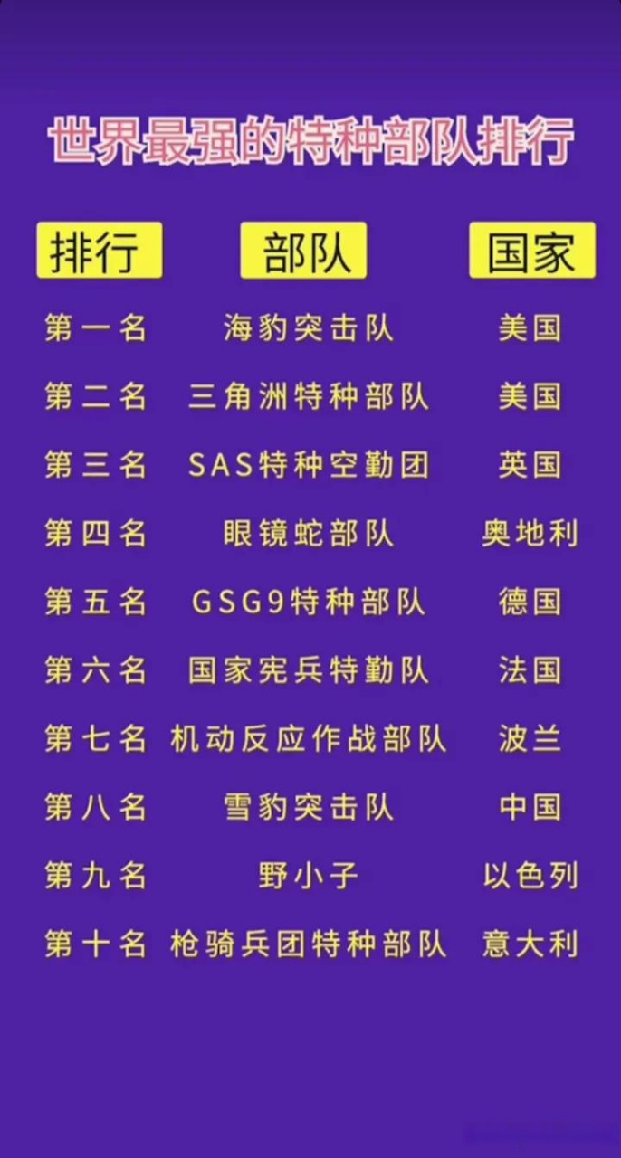 日本十大特种部队，深度解析其历史、特点与作战能力，日本十大特种部队，历史、特点与作战能力深度剖析