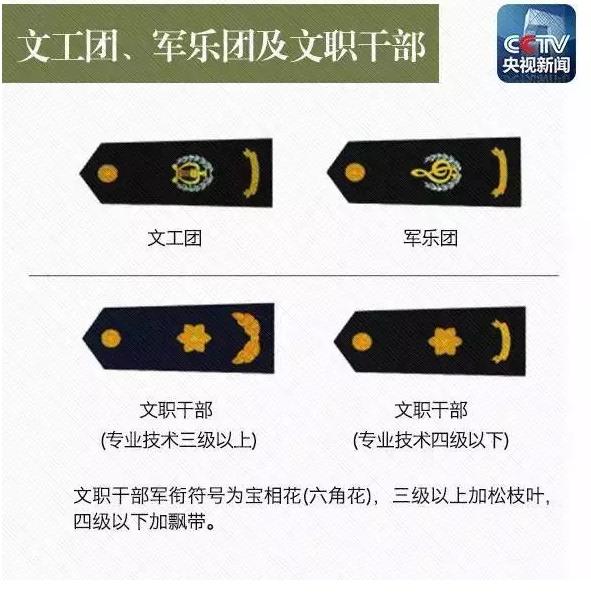 文职干部军衔，军队中的文职力量与军衔制度解析，文职干部军衔与军队文职力量，军衔制度深度解析