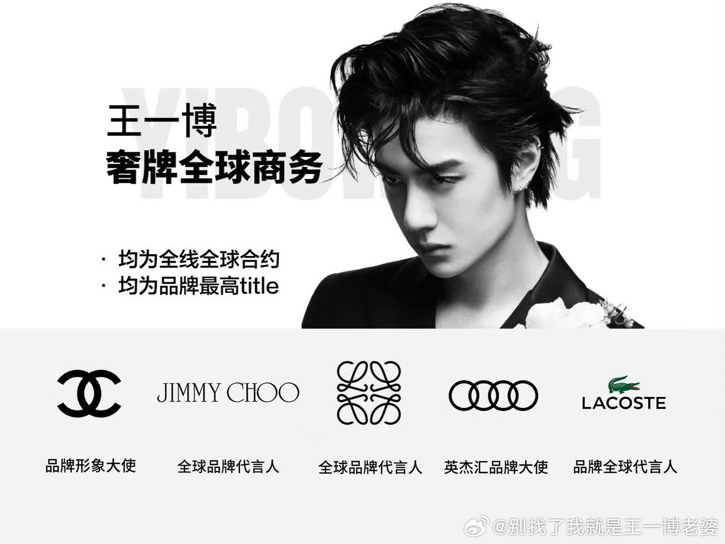 ZO19时代的王中王一肖中特，探索与启示，ZO19时代之王中王探索启示录