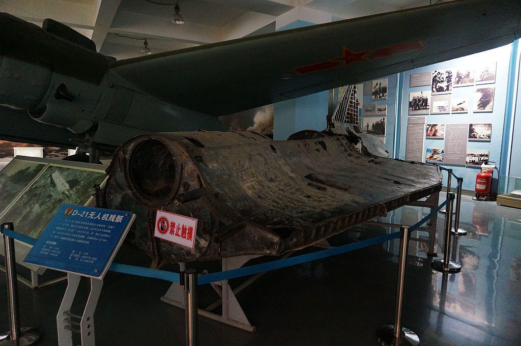 黑鸟是无人机吗？——探究黑鸟与无人机的关系，黑鸟与无人机的关系探究，是无人机还是另有玄机？