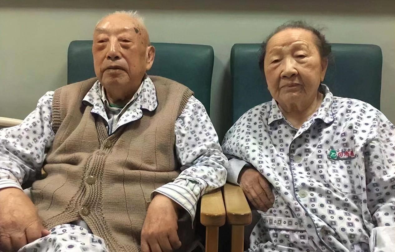 秦基伟爷爷的生平事迹与成就，一位传奇英雄的壮丽人生，秦基伟爷爷，传奇英雄的生平事迹与辉煌成就